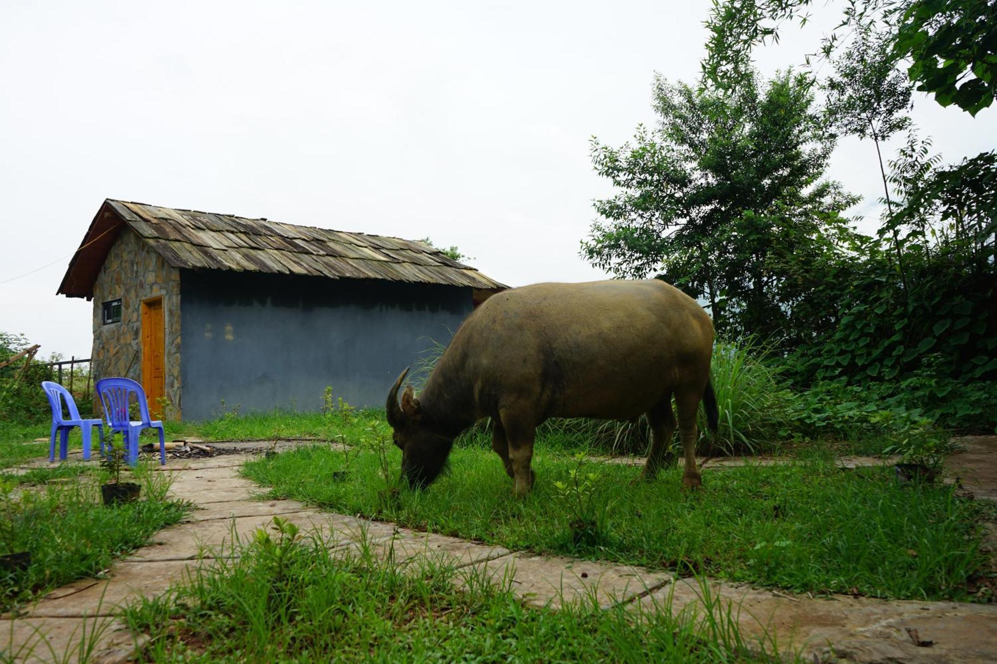Sapa Hillcrest Homestay Lao Cai Esterno foto