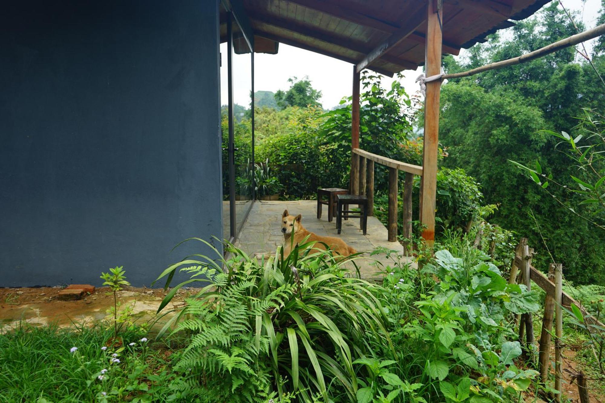 Sapa Hillcrest Homestay Lao Cai Esterno foto